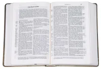 BIBLE SCHLACHTER 2000 allemand motif tulipe