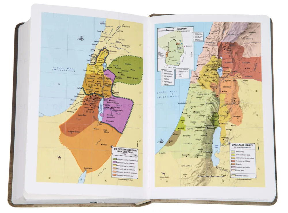BIBLE SCHLACHTER 2000 allemand motif tulipe