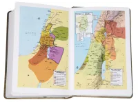 BIBLE SCHLACHTER 2000 allemand motif tulipe