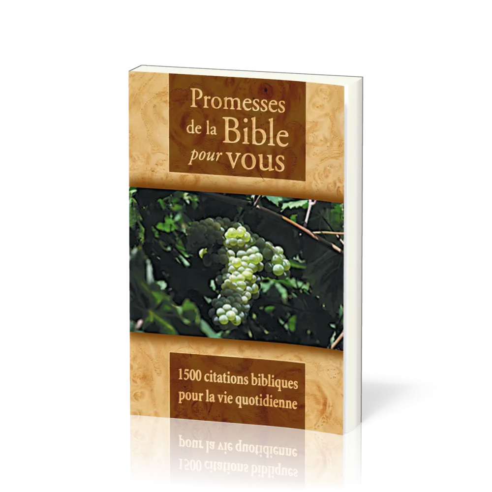 Promesses de la Bible pour vous - 1500 citations biblique pour la vie quotidienne