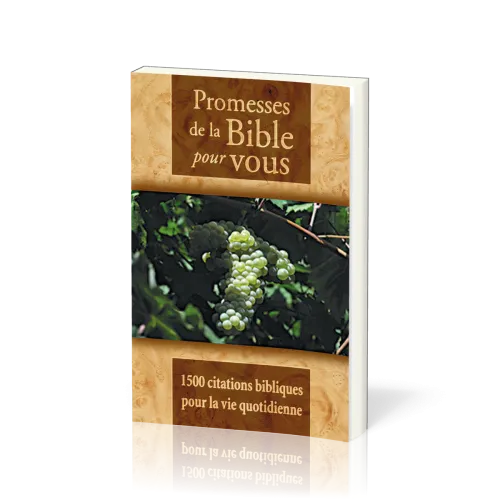Promesses de la Bible pour vous - 1500 citations biblique pour la vie quotidienne