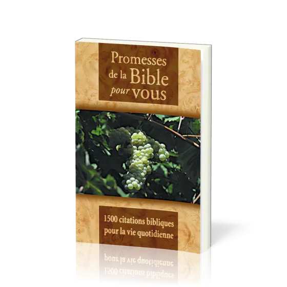 Promesses de la Bible pour vous - 1500 citations biblique pour la vie quotidienne