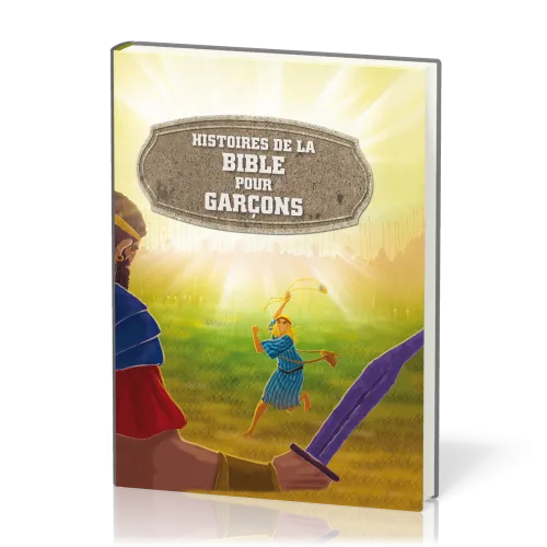 Histoires de la Bible pour garçons