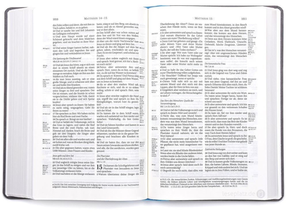 BIBLE SCHLACHTER 2000 Allemand bleu clair/gris