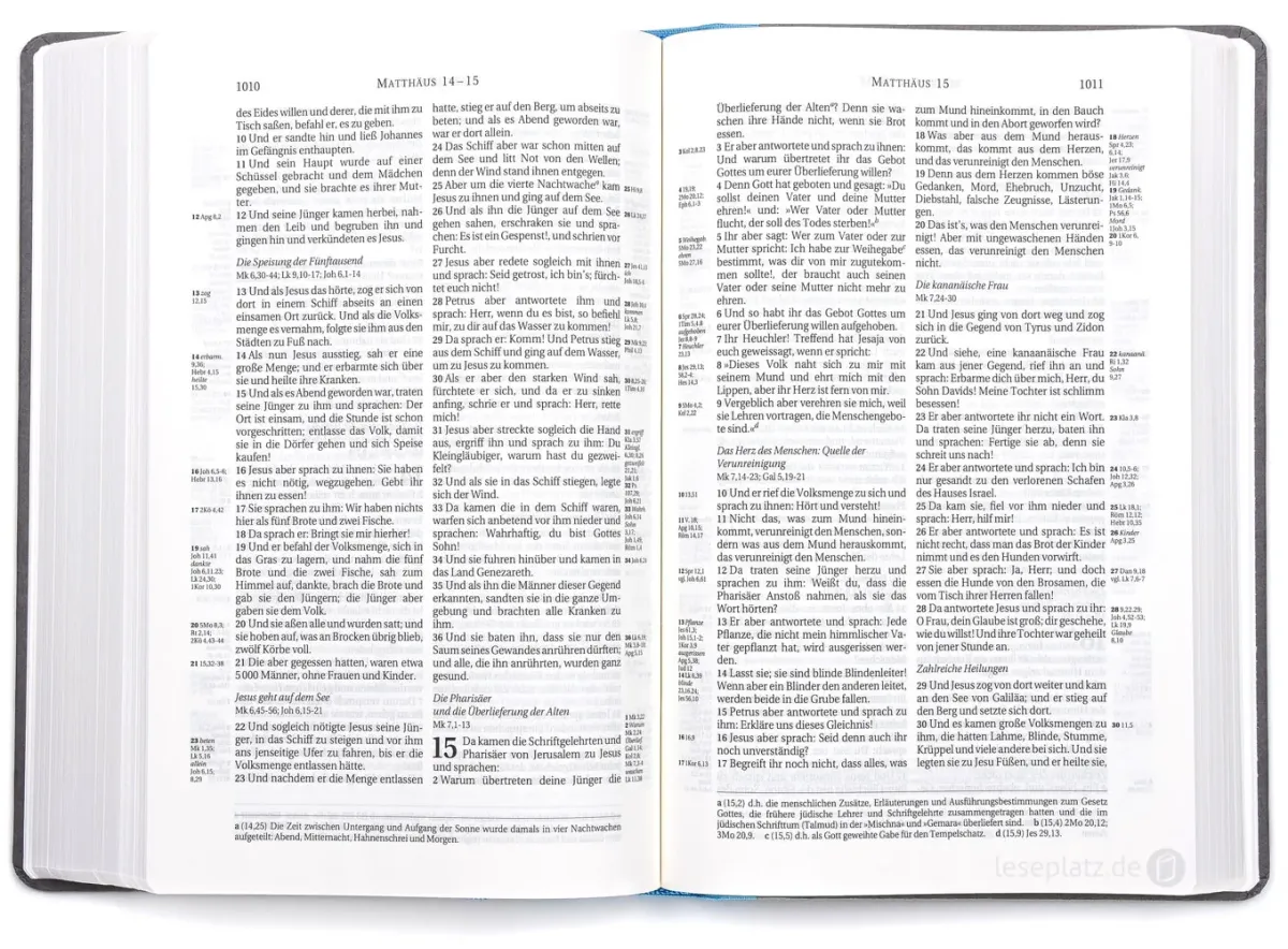BIBLE SCHLACHTER 2000 Allemand bleu clair/gris