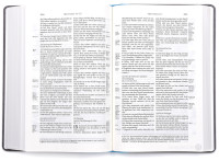 BIBLE SCHLACHTER 2000 Allemand bleu clair/gris