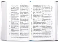 BIBLE SCHLACHTER 2000 Allemand bleu clair/gris