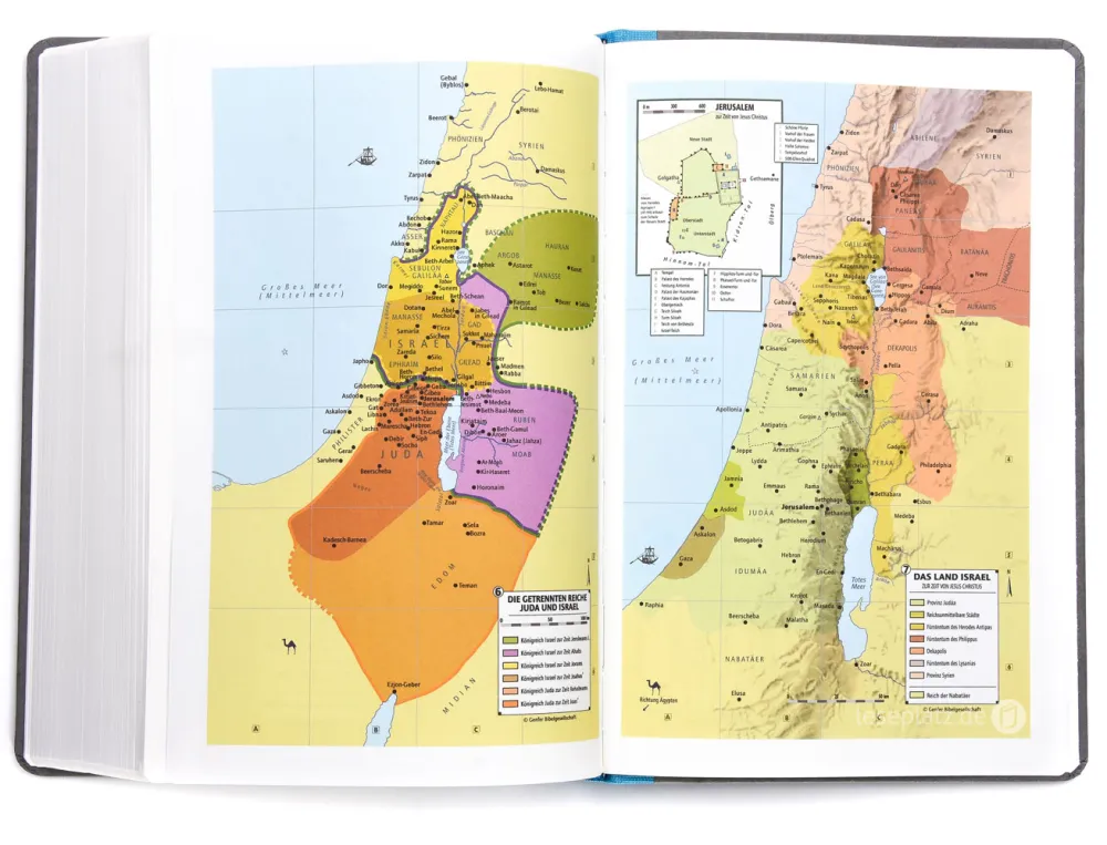 BIBLE SCHLACHTER 2000 Allemand bleu clair/gris