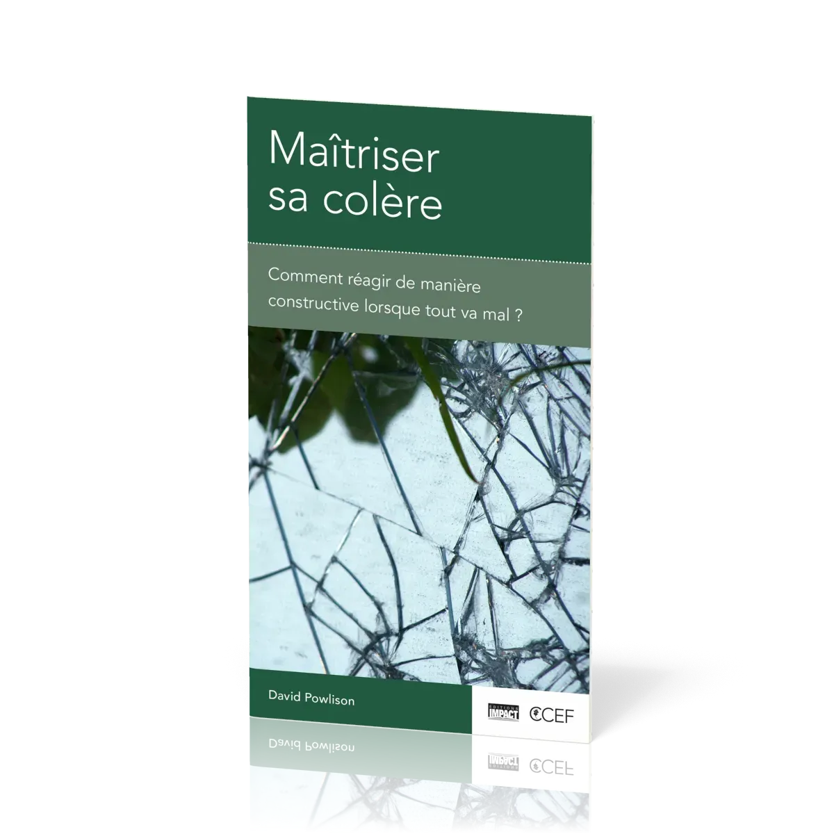 Maitriser sa colère - Comment réagir de manière constructive lorsque tout va mal ?